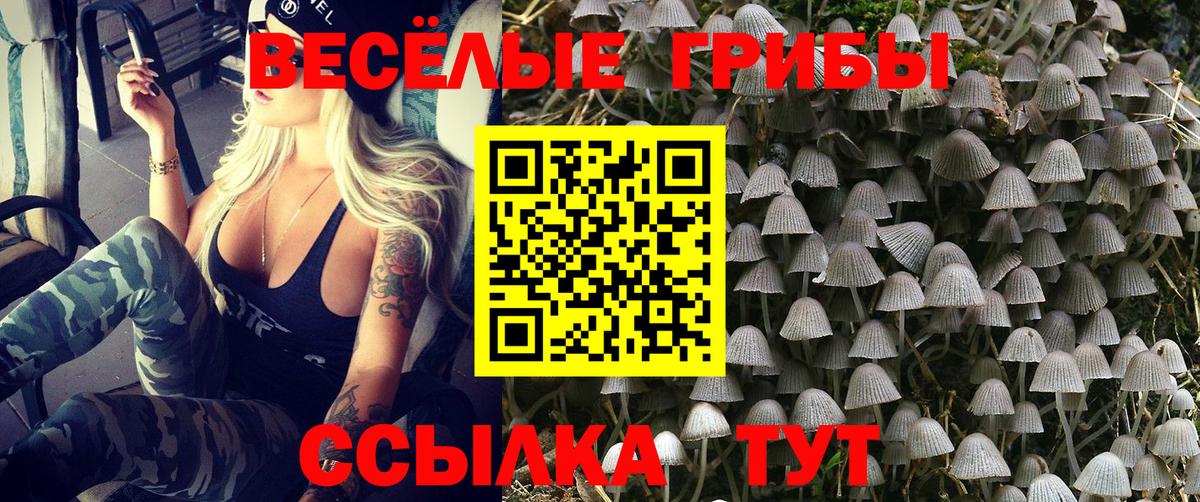 Галлюциногенные грибы мицелий Таганрог