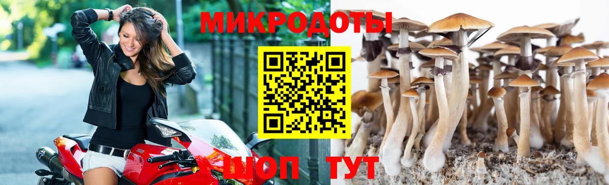 купить закладку  Псилоцибиновые грибы Psilocybe  Вход с VPN  Таганрог 